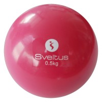 WEIGHTED BALL