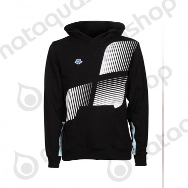 ICONS HOODED SWEAT SOLID LOGO