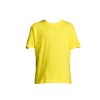T-SHIRT REGENT - JUNIOR