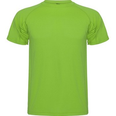 TEE-SHIRT MONTECARLO - HOMME FERN GREEN 226