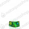 GREEN SHRIMPS - GARCON