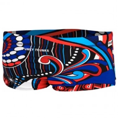 PATRIOT PICASSO - photo 1