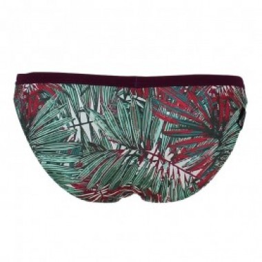 DOMA BRIEF JUNGLE MANIA - FEMME Kaki - photo 1